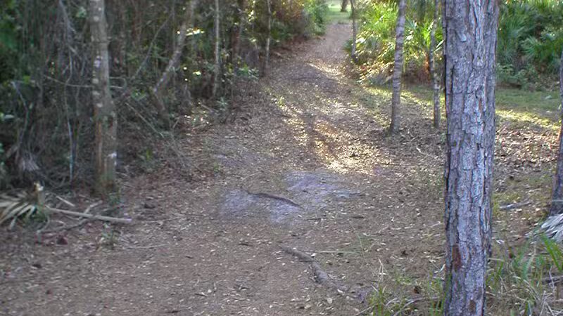 Wilderness Park - Port St. Lucie, FL