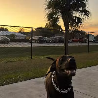 Winter Lakes Dog Park - Port St. Lucie, FL