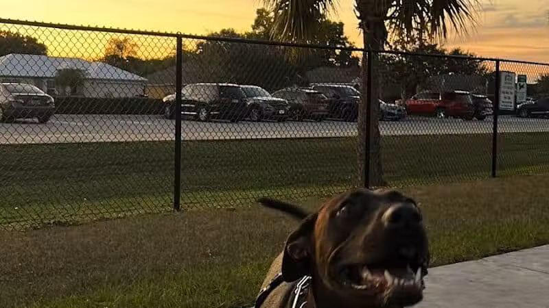 Winter Lakes Dog Park - Port St. Lucie, FL