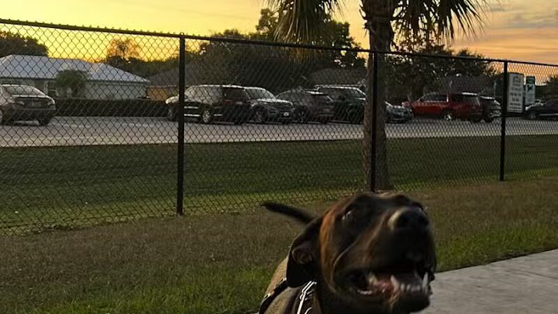 Winter Lakes Dog Park - Port St. Lucie, FL