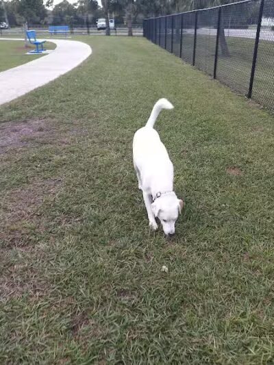 Winter Lakes Dog Park - Port St. Lucie, FL