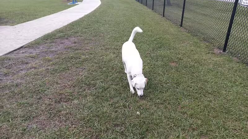 Winter Lakes Dog Park - Port St. Lucie, FL