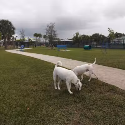Winter Lakes Dog Park - Port St. Lucie, FL