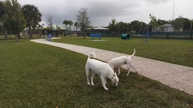 Winter Lakes Dog Park - Port St. Lucie, FL