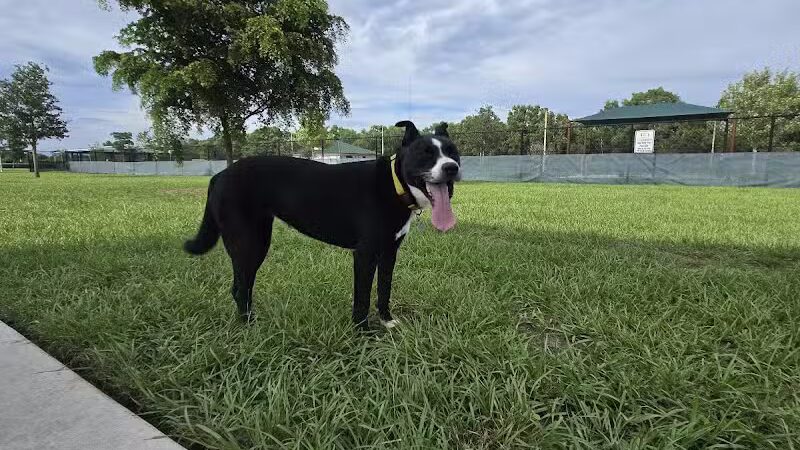 Winter Lakes Dog Park - Port St. Lucie, FL