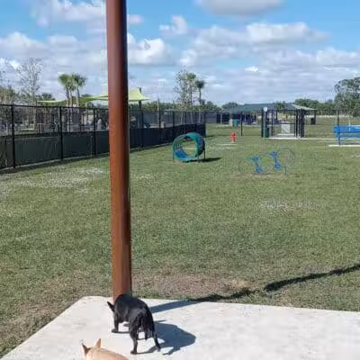 Winter Lakes Dog Park - Port St. Lucie, FL