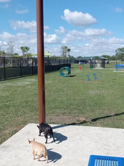 Winter Lakes Dog Park - Port St. Lucie, FL