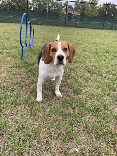 Winterlakes Park - Port St. Lucie, FL