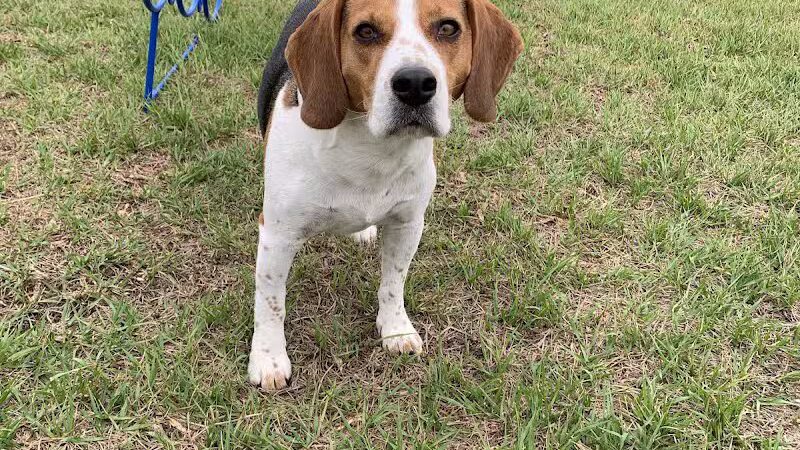 Winterlakes Park - Port St. Lucie, FL