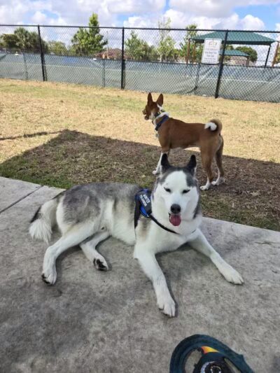 Winterlakes Park - Port St. Lucie, FL