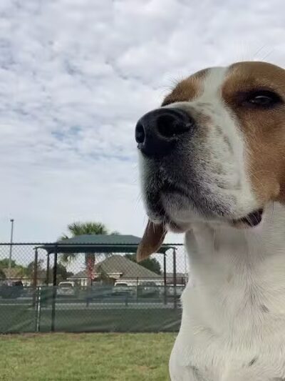 Winterlakes Park - Port St. Lucie, FL