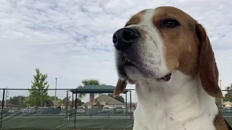 Winterlakes Park - Port St. Lucie, FL