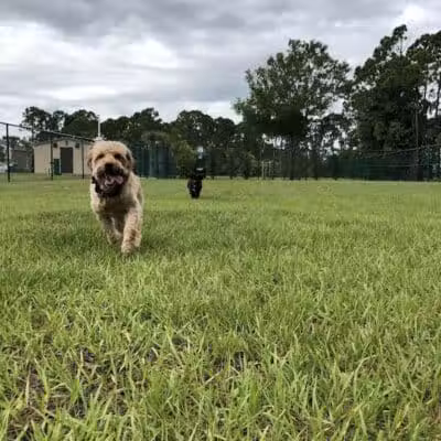 Woodland Trails Park - Port St. Lucie, FL