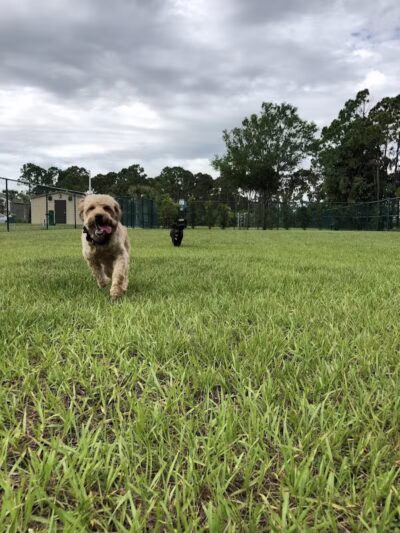 Woodland Trails Park - Port St. Lucie, FL