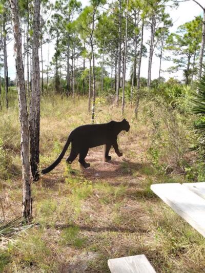 Woodland Trails Park - Port St. Lucie, FL
