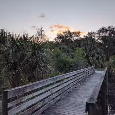 Woodstork Trail/Hillmoor Lake Park - Port St. Lucie, FL