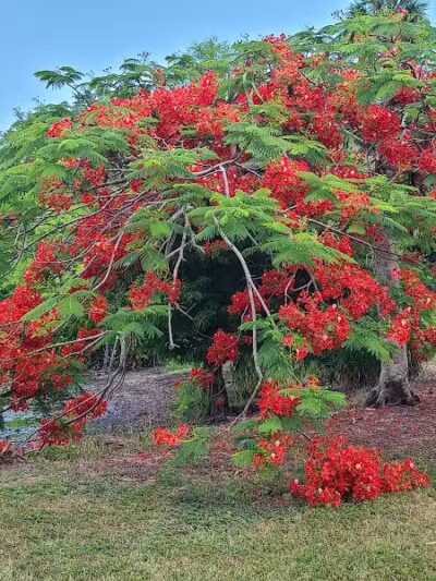 Woodstork Trail/Hillmoor Lake Park - Port St. Lucie, FL