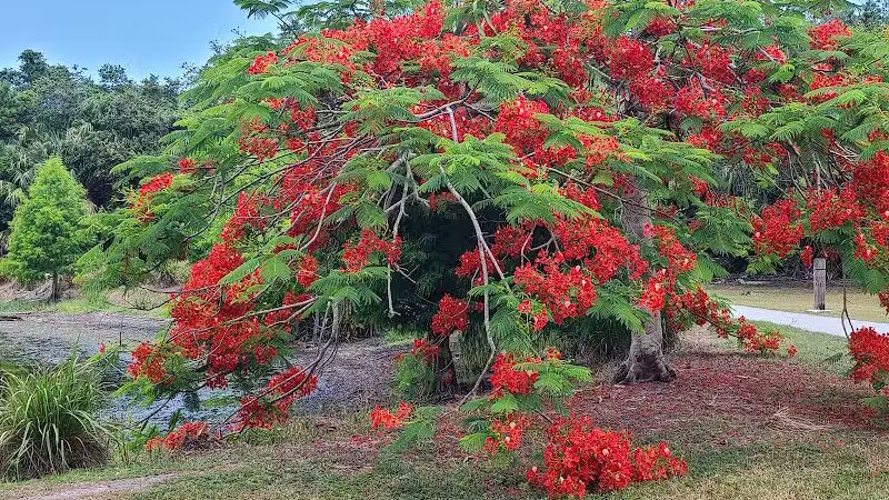 Woodstork Trail/Hillmoor Lake Park - Port St. Lucie, FL
