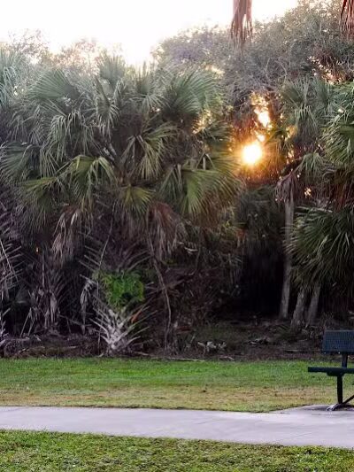 Woodstork Trail/Hillmoor Lake Park - Port St. Lucie, FL