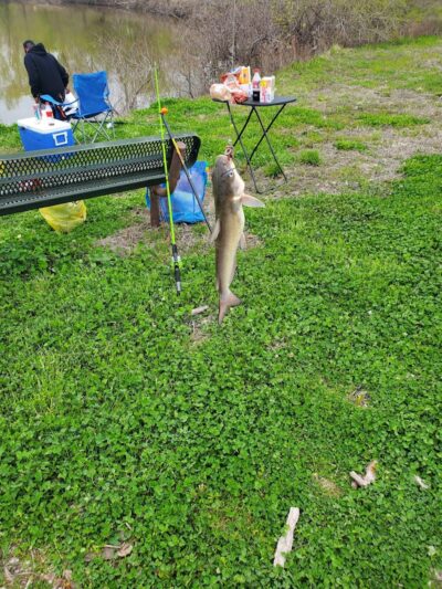 Hideaway Harbor Park - Portage Des Sioux, MO