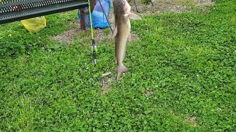 Hideaway Harbor Park - Portage Des Sioux, MO