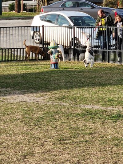 Kaiah Dog Park - Portland, TX