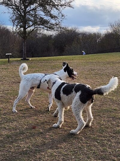 Kaiah Dog Park - Portland, TX