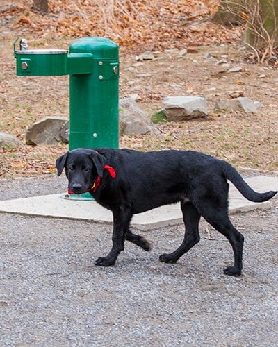 Peirce Island - Portsmouth, NH