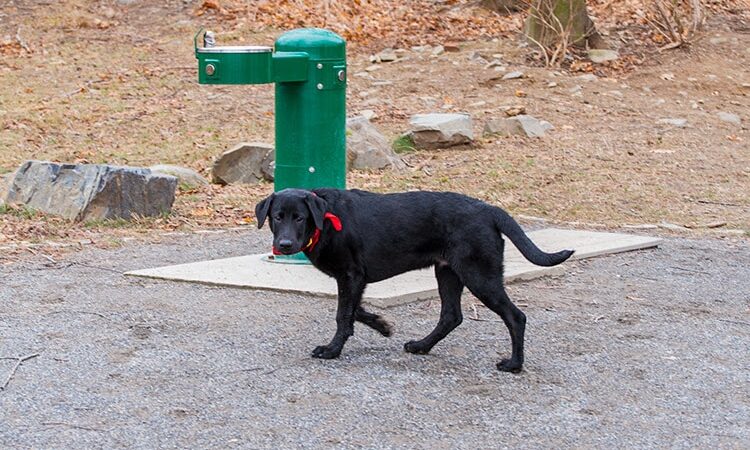 Peirce Island - Portsmouth, NH