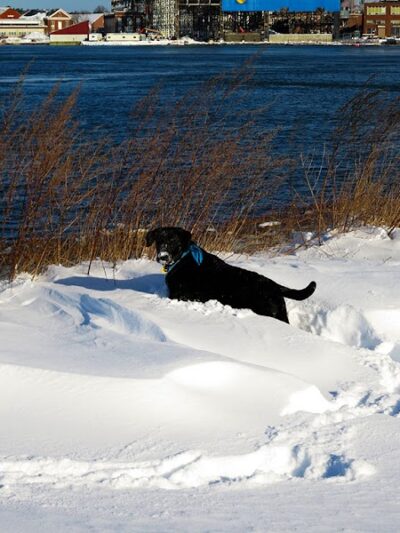 Peirce Island - Portsmouth, NH