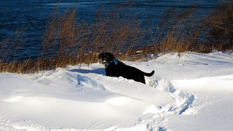 Peirce Island - Portsmouth, NH
