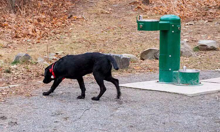 Peirce Island - Portsmouth, NH
