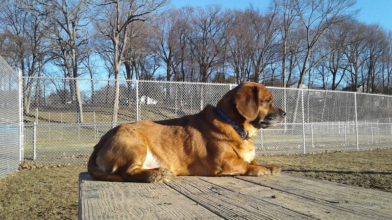 J Tracy Hermann Memorial Dog Park - Poughkeepsie, NY