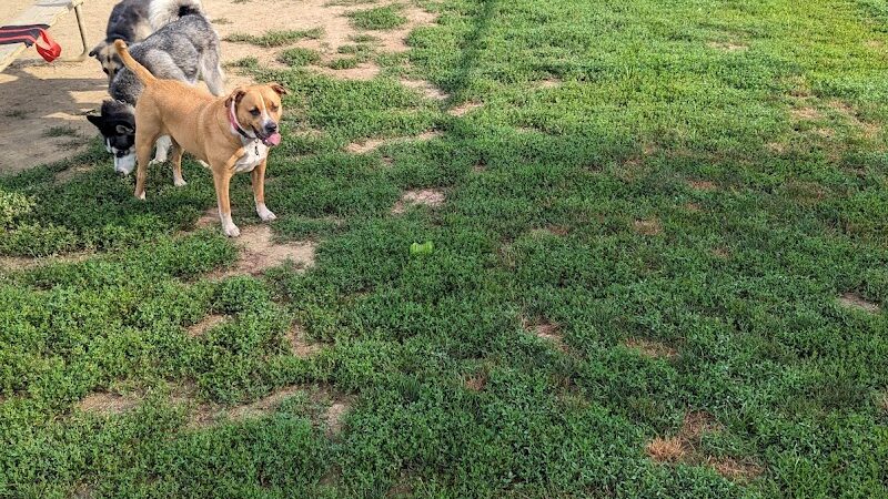 J Tracy Hermann Memorial Dog Park - Poughkeepsie, NY