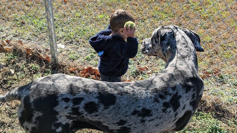 J Tracy Hermann Memorial Dog Park - Poughkeepsie, NY