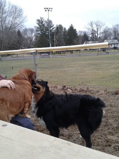 J Tracy Hermann Memorial Dog Park - Poughkeepsie, NY