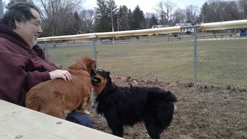 J Tracy Hermann Memorial Dog Park - Poughkeepsie, NY