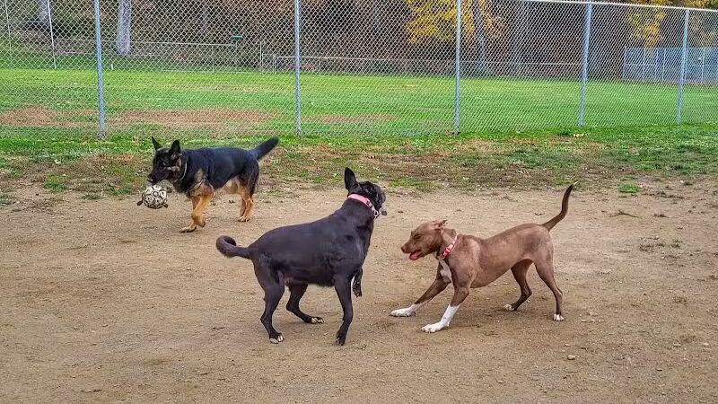 J Tracy Hermann Memorial Dog Park - Poughkeepsie, NY