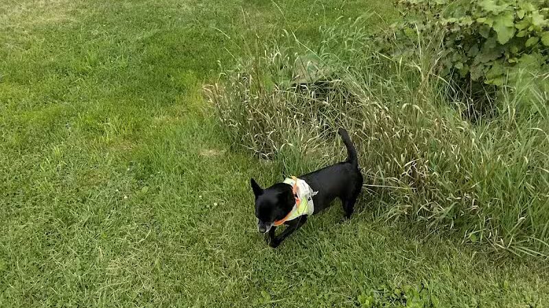 Poy Sippi Community Park - Poy Sippi, WI