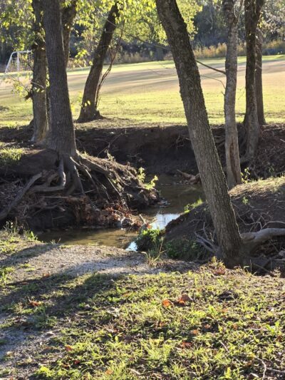 Prairie Grove Dog Park - Prairie Grove, AR