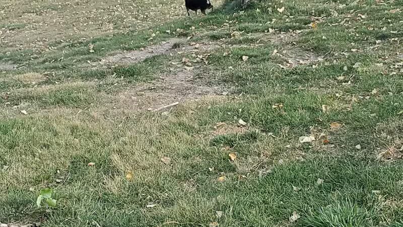 Covebasin Dog Park - Price, UT