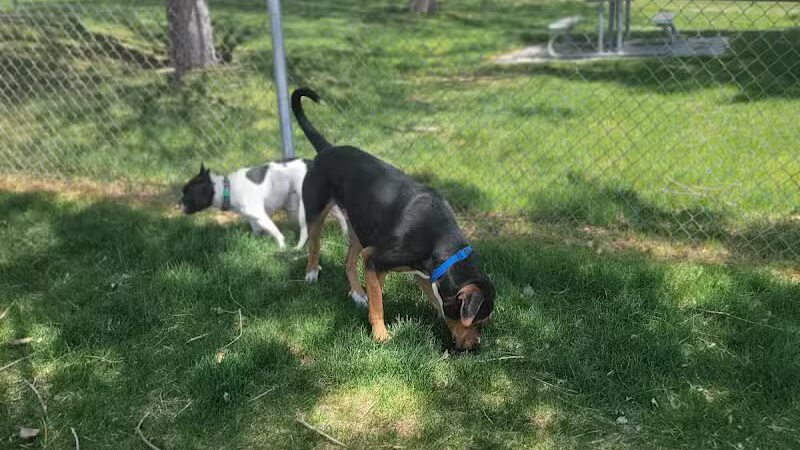 Covebasin Dog Park - Price, UT
