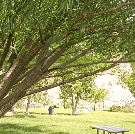 Covebasin Dog Park - Price, UT