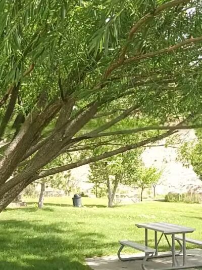 Covebasin Dog Park - Price, UT