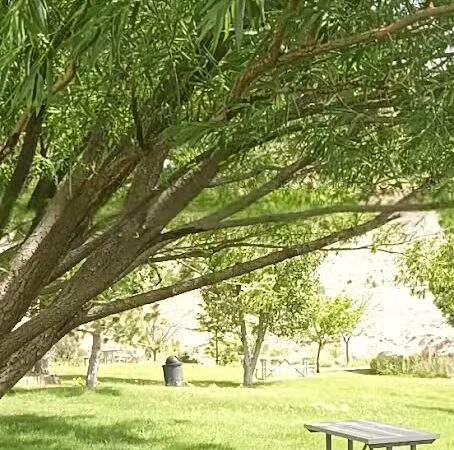 Covebasin Dog Park - Price, UT