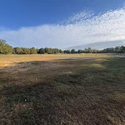 Princeton Dog Park - Princeton, NJ
