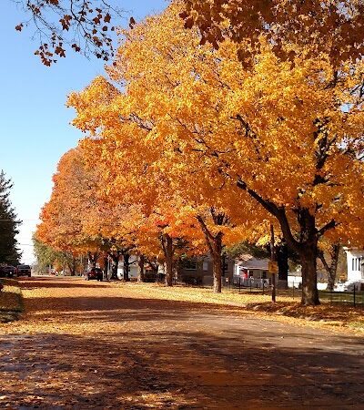 Stevens Square Park - Princeville, IL