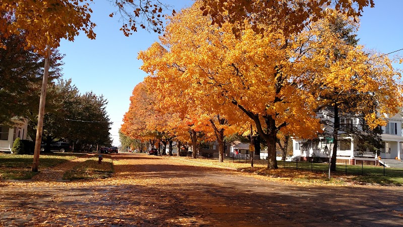 Stevens Square Park - Princeville, IL