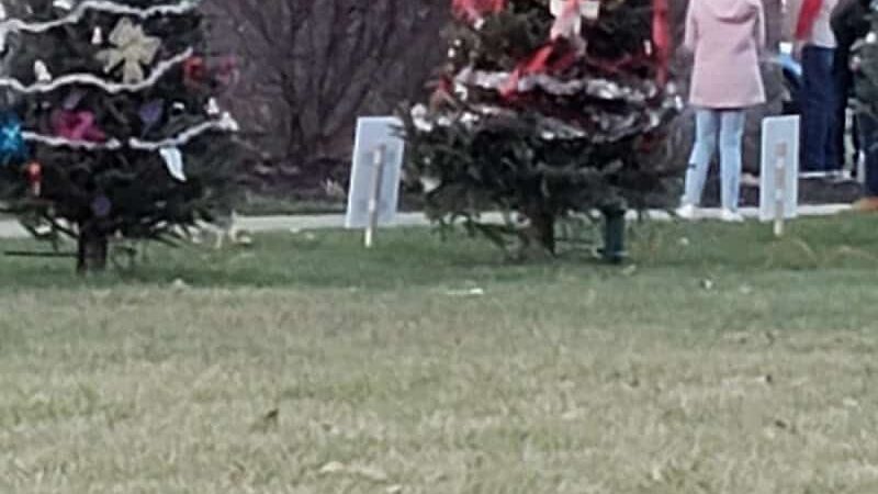 Stevens Square Park - Princeville, IL