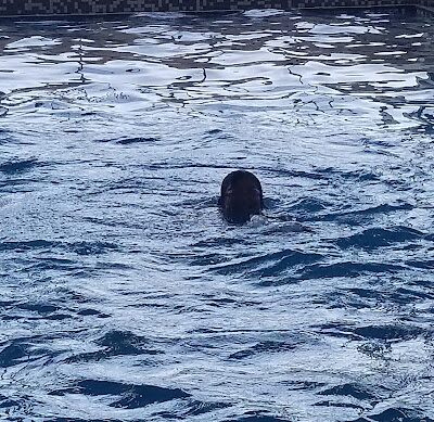 Prophetstown Park District - Prophetstown, IL